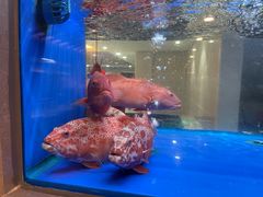 -骏丰酒楼(黄编店)