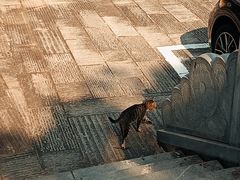 -宝通禅寺