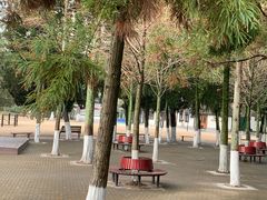 -瀛洲公园
