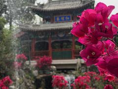 -红螺寺