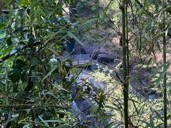 -广州白江湖森林公园