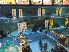 -有腥气私房菜·寻味顺德