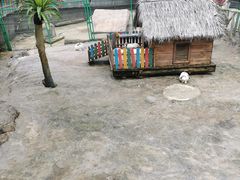 -呀诺达热带雨林