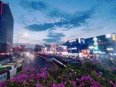 -骏景花园