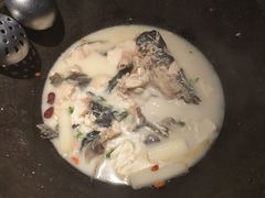 -鲜潭蒸汽石锅鱼(五道口购物中心店)