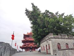 -肇庆古城墙