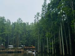 -波尔登森林公园