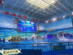 景点-多彩贵州城极地海洋世界