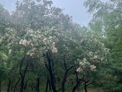 -元大都城垣遗址公园