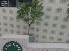 -ADO KAFE(大学城店)