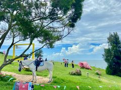 -漳州滨海火山岛自然生态风景区
