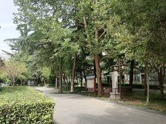 -木塔寺遗址生态公园