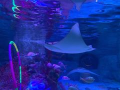 -沈阳海洋探索中心