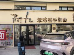 -阿九笨鸡蛋手擀面(总店)