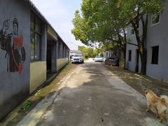 -东湖落雁景区