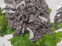-吧嘚嘴炭烧鸽串吧(北海街店)
