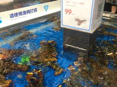 -盒马鲜生(莱蒙都会店)