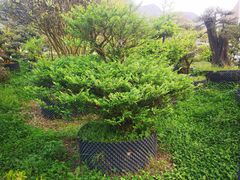 -贵阳蓬莱仙界
