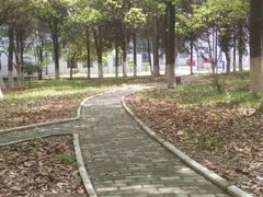 -安徽工业大学(秀山校区)