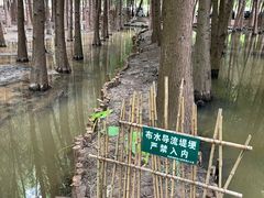 -捞渔河湿地公园
