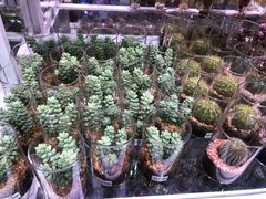 -KKV(深圳宏发大仟里店)