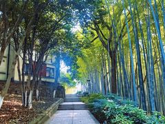 -上海市保健医疗中心