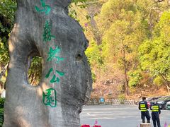 -板樟山森林公园