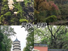 -灵谷景区