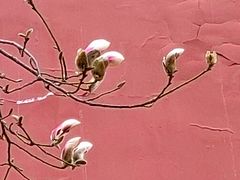 -东华门大街小区