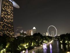 -新加坡摩天观景轮