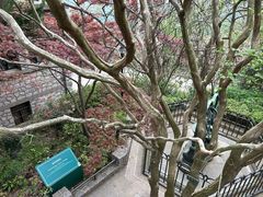 -紫金山天文台