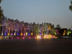 -枫花园汽车电影院(朝阳公园店)