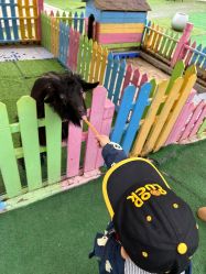 -萌宠亲子动物乐园(槐房万达店)