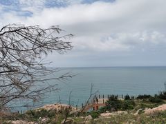 -广东惠东海龟国家级自然保护区