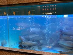 -淘米捞·米汤脆鲩鱼火锅(福田皇岗店)