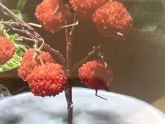 -知楚•精致湖北菜(武商MALL店)