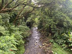 -福清灵石山国家森林公园
