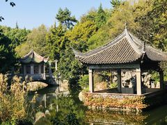 -叶家花园