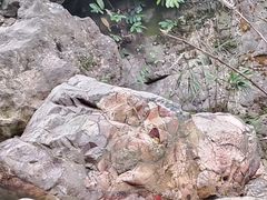 -南海湾森林生态园