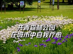 -上海共青森林公园