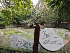 -成都动物园