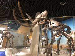 -国家自然博物馆