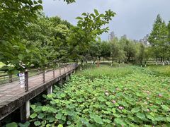 -沐仙湖湿地公园