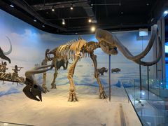 -辽宁古生物博物馆