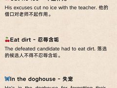 -引领英语·成人口语·雅思托福