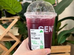 -SENTEA森茶(麦地丽日店)