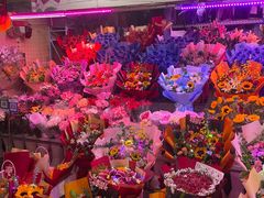 -花鸟鱼虫鲜花绿植市场(玉泉路店)