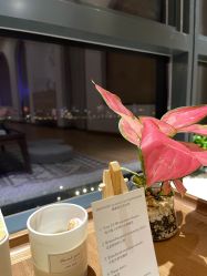 -ANNIL安奈尔·NASX超透白·科技抗衰·问题性肌肤管理