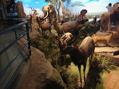 -陕西自然博物馆