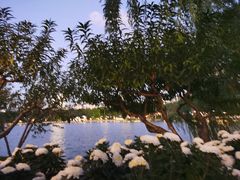 -西湖公园(鼓楼区)
